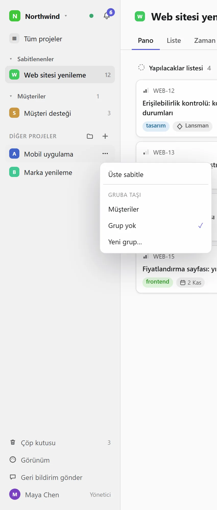 Kenar çubuğundaki proje menüsü